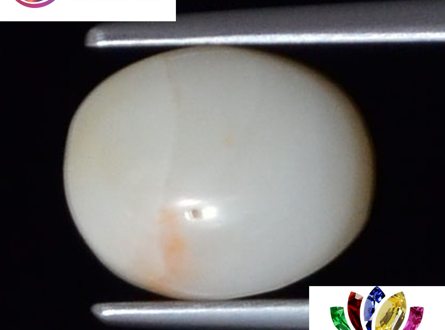 White Coral 3.27 Ct.