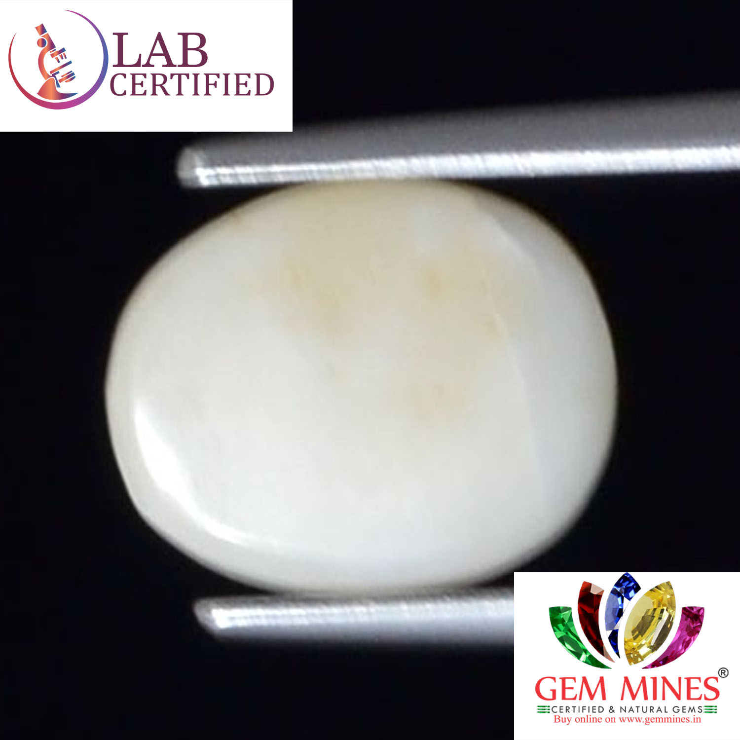 White Coral 3.27 Ct. 3 WC252 2 White Coral 3.27 Ct.
