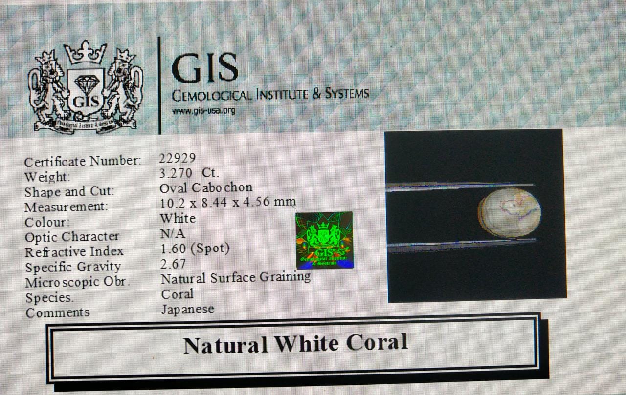White Coral 3.27 Ct. 5 WC252 4 White Coral 3.27 Ct.