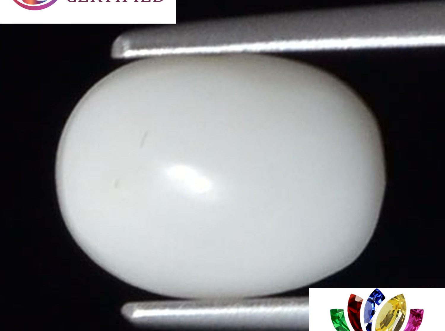 White Coral 2.02 Ct.