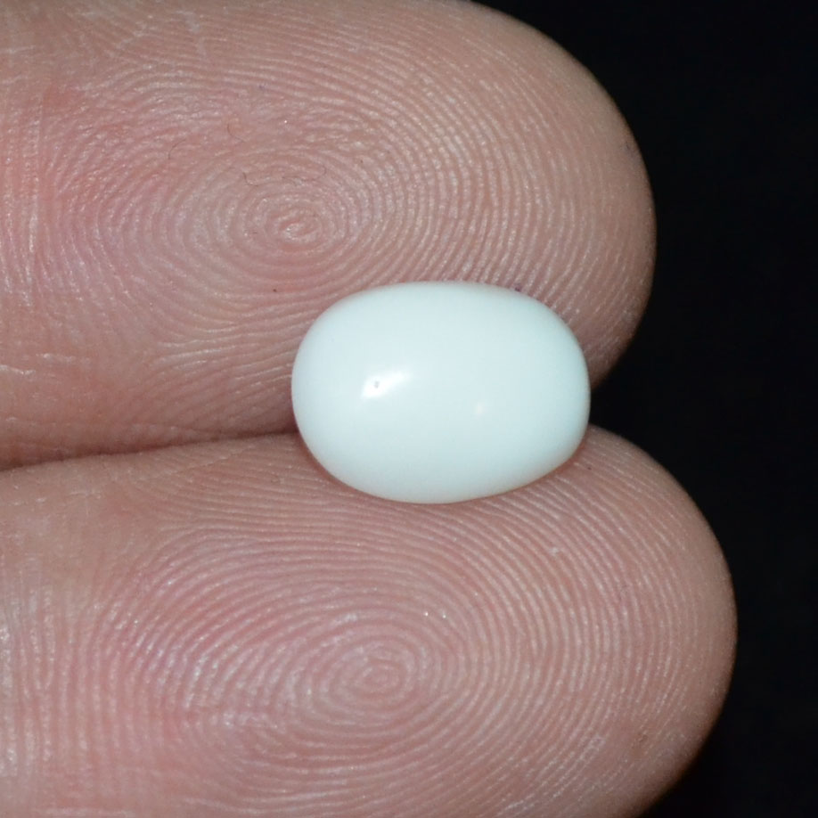 WC253 3 White Coral 2.02 Ct.