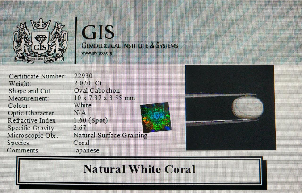 WC253 4 White Coral 2.02 Ct.