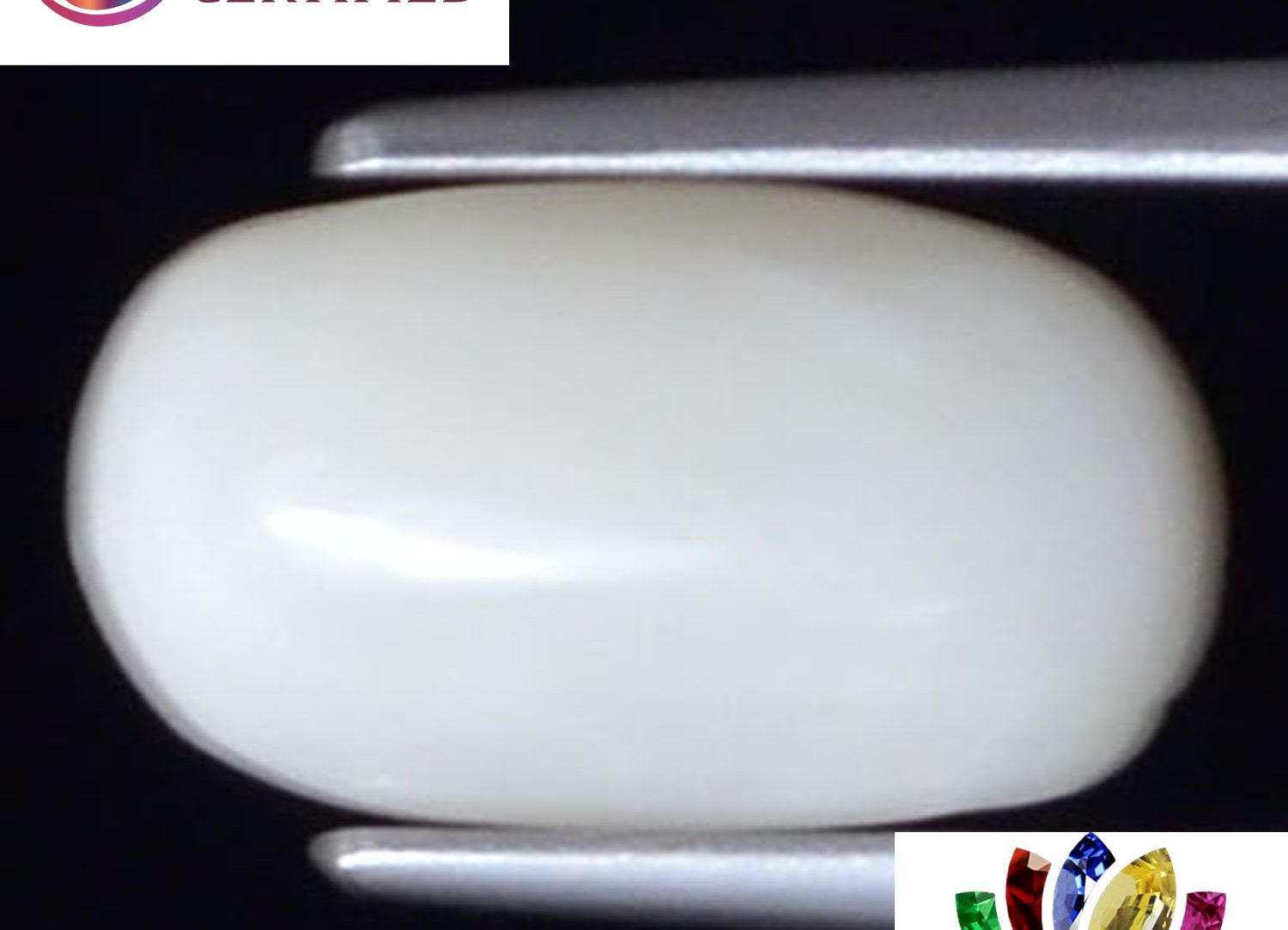 White Coral 3.48 Ct.