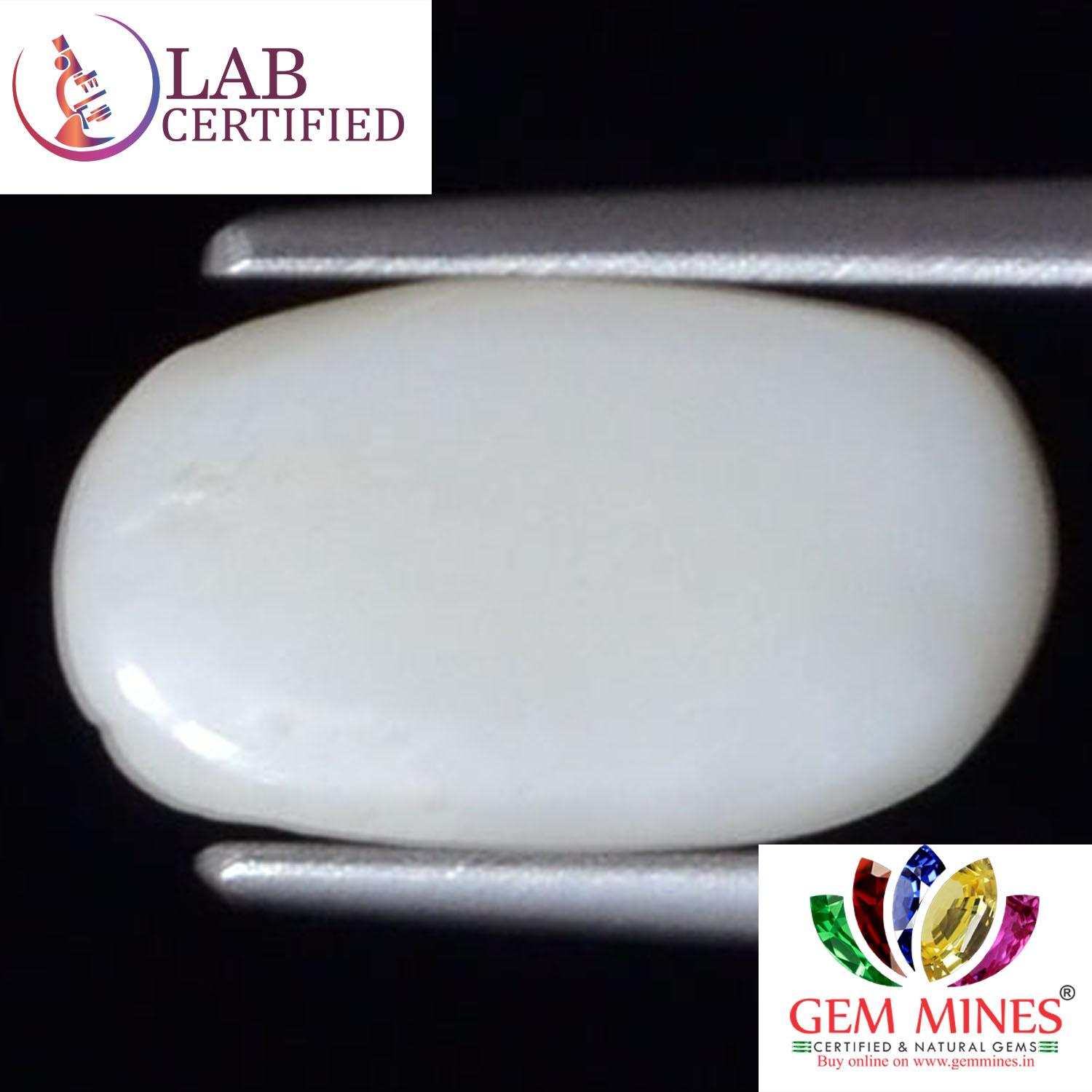 White Coral 3.48 Ct. 3 WC254 2 White Coral 3.48 Ct.