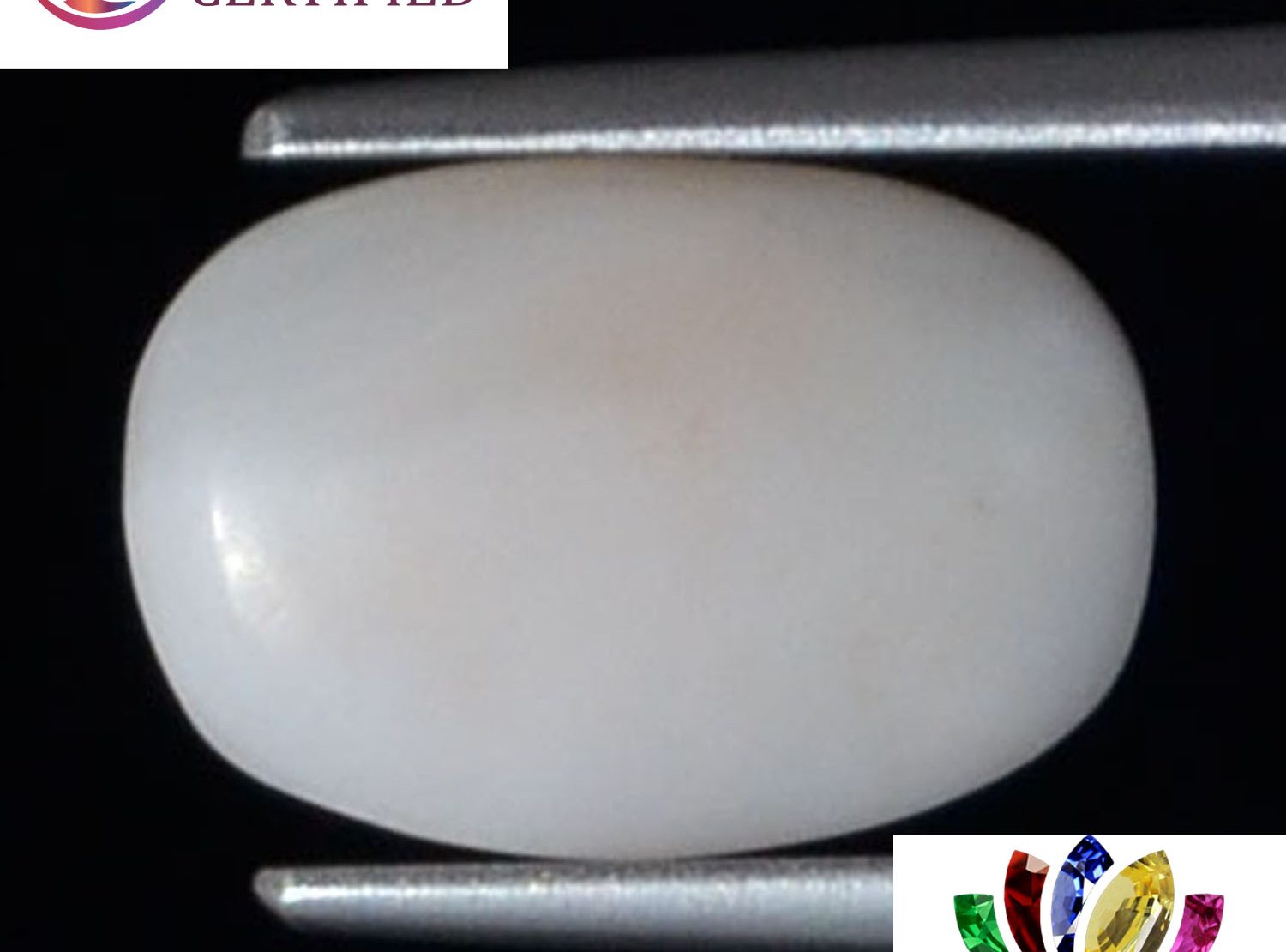 White Coral 2.24 Ct.