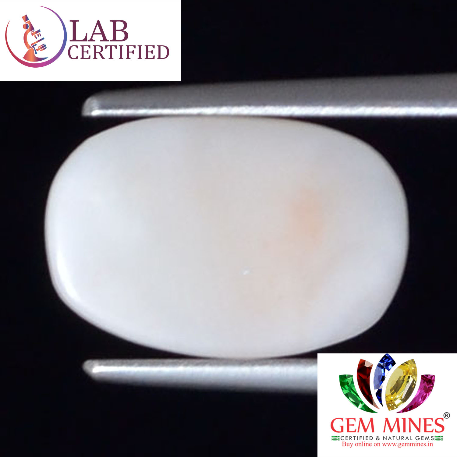 WC255 2 White Coral 2.24 Ct.