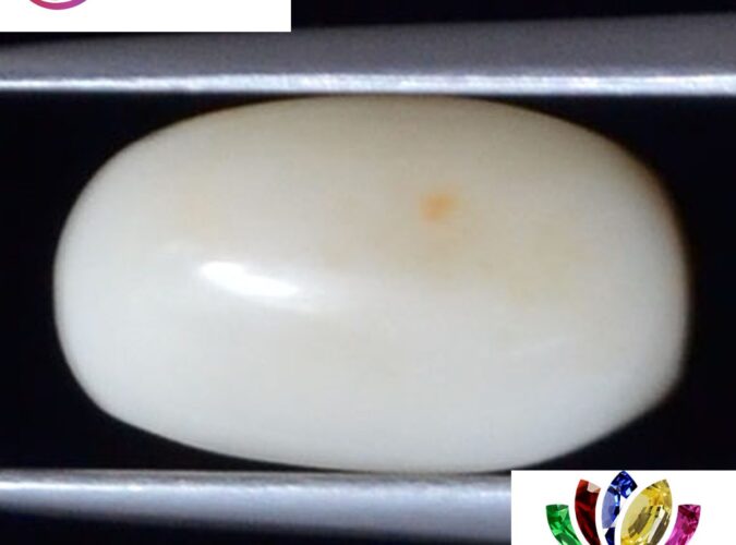 WC256 1 e1680690875542 White Coral 2.45 Ct.