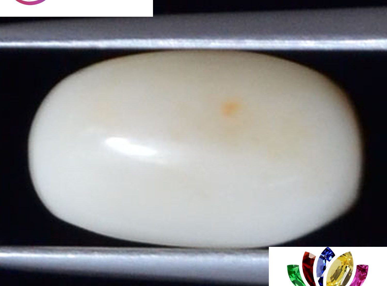White Coral 2.45 Ct.