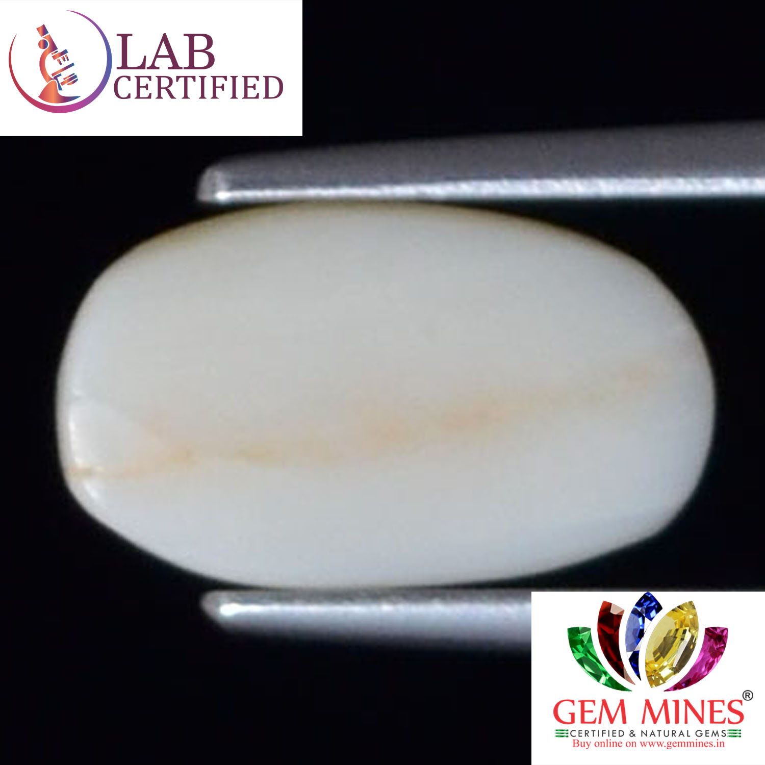 WC256 2 White Coral 2.45 Ct.