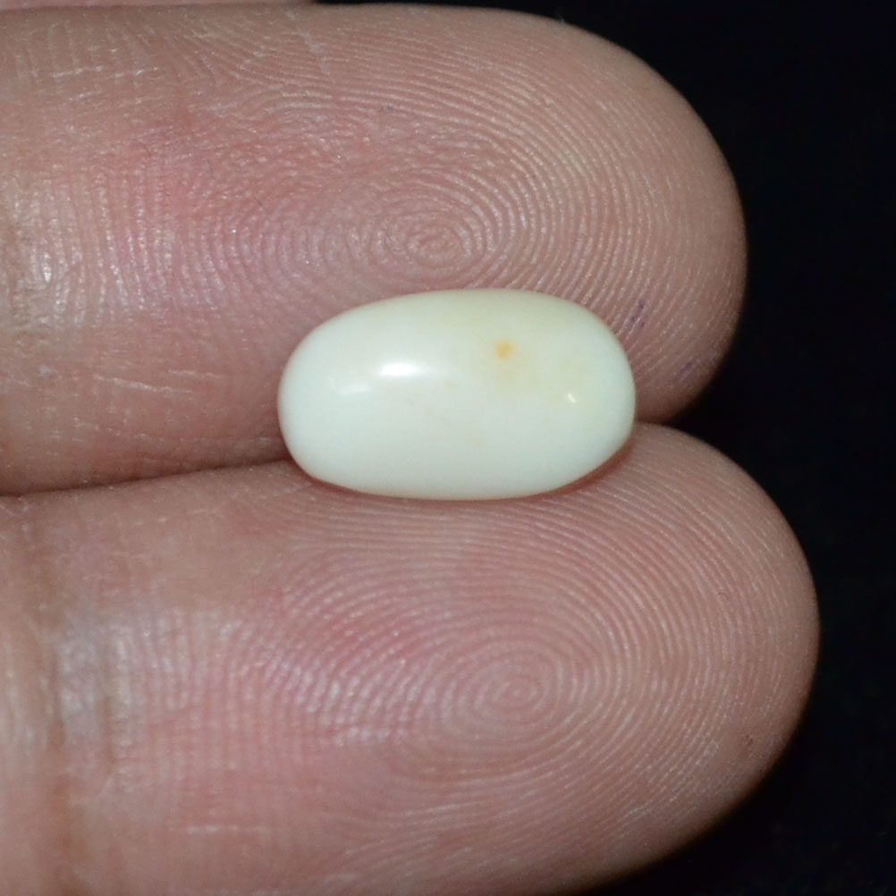 WC256 3 White Coral 2.45 Ct.