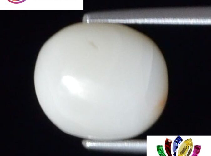 WC257 1 e1680691153727 White Coral 3.74 Ct.