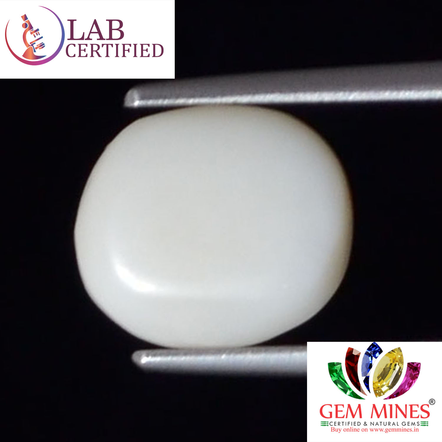 WC257 2 White Coral 3.74 Ct.