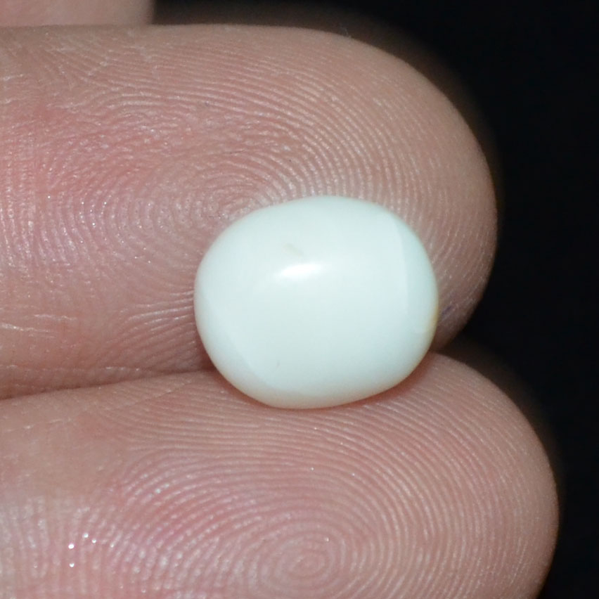 WC257 3 White Coral 3.74 Ct.