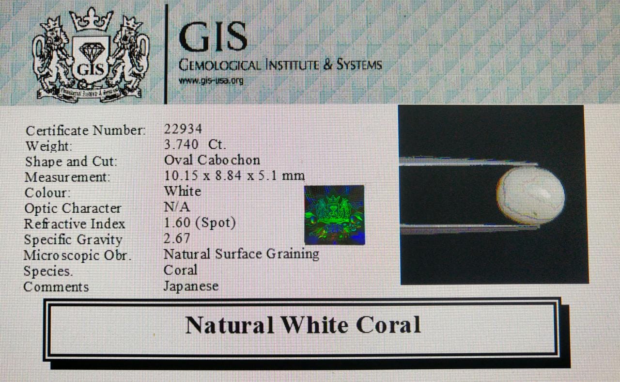 WC257 4 White Coral 3.74 Ct.