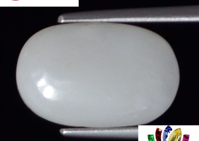 WC258 1 e1680691159517 White Coral 3.8 Ct.