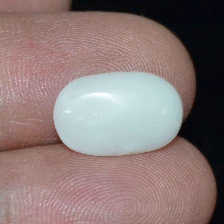 WC258 3 White Coral 3.8 Ct.