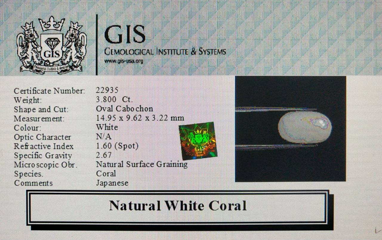 WC258 4 White Coral 3.8 Ct.