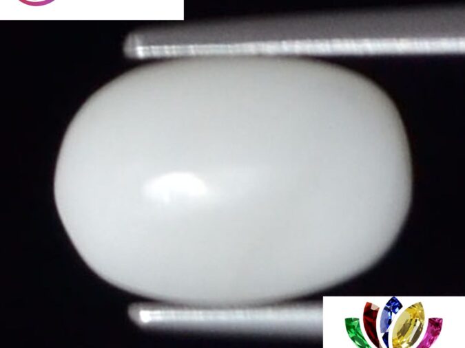 WC259 1 e1680691155991 White Coral 2.1 Ct.