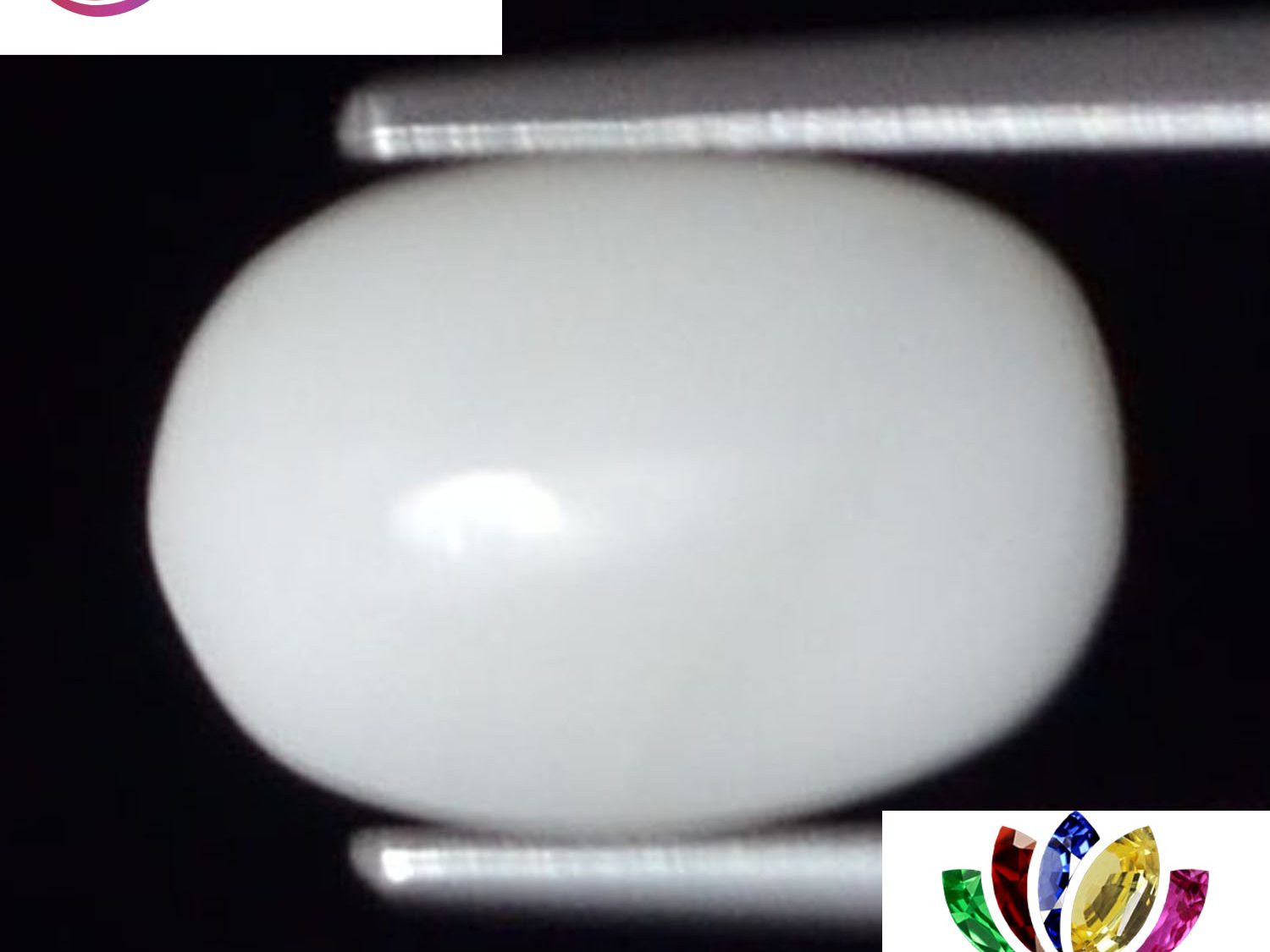 White Coral 2.1 Ct.