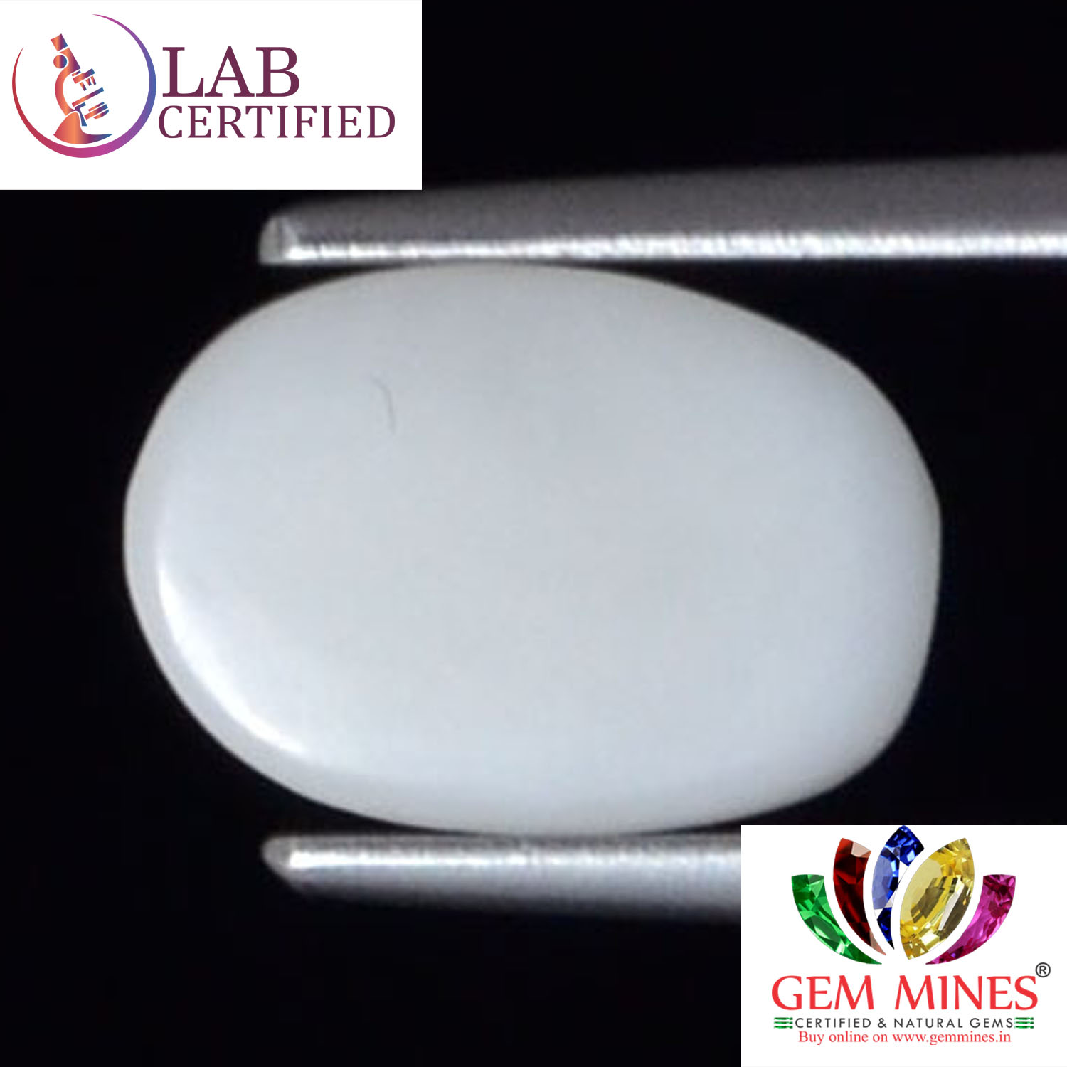 WC259 2 White Coral 2.1 Ct.