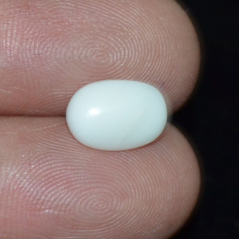 WC259 3 White Coral 2.1 Ct.