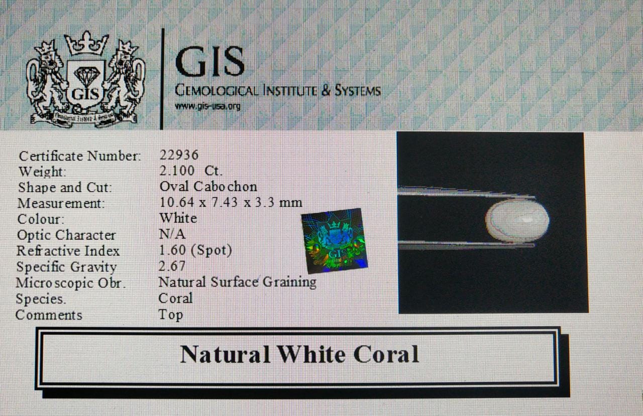 WC259 4 White Coral 2.1 Ct.