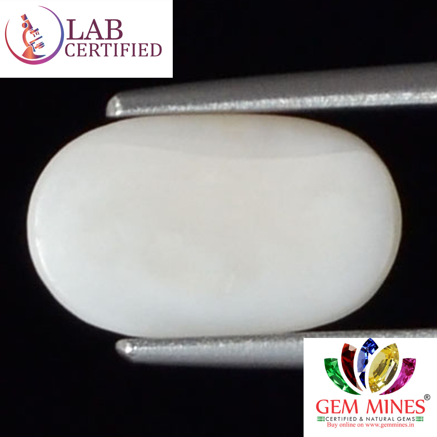 WC260 2 White Coral 2.3 Ct.