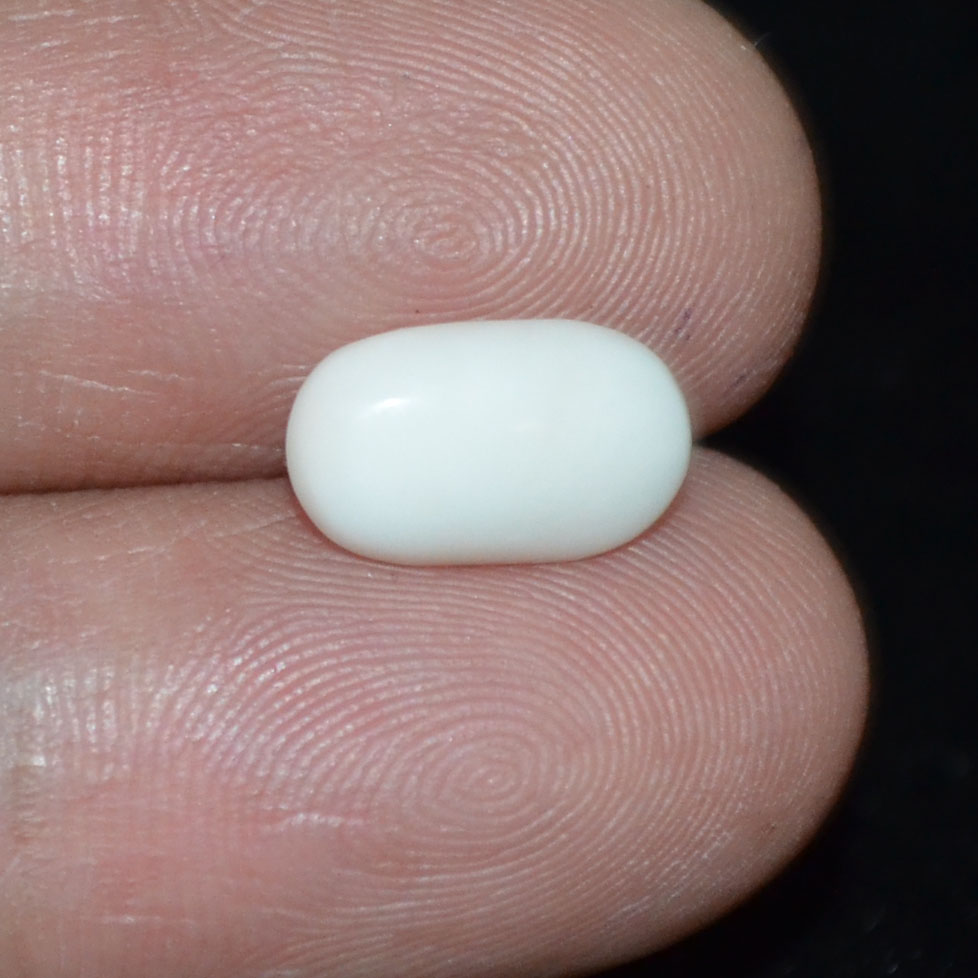 WC260 3 White Coral 2.3 Ct.