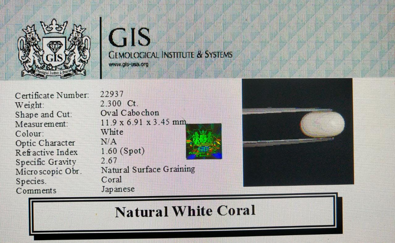 WC260 4 White Coral 2.3 Ct.