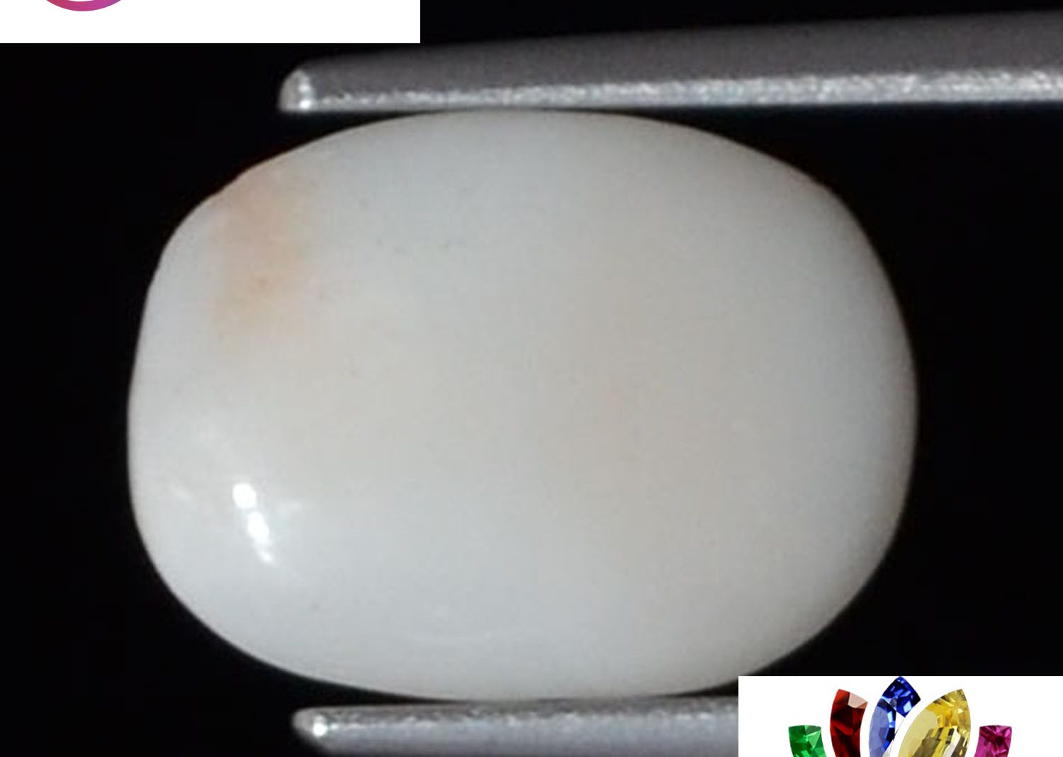 White Coral 2.25 Ct.