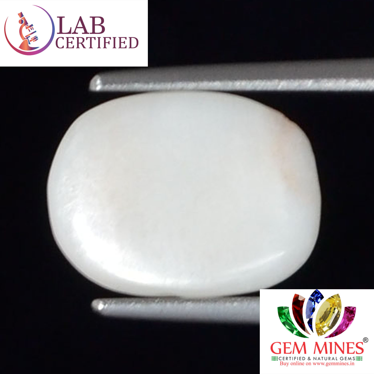 WC261 2 White Coral 2.25 Ct.