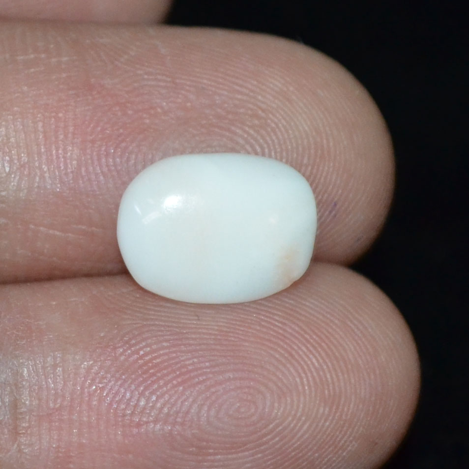 WC261 3 White Coral 2.25 Ct.