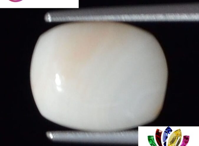 WC262 1 e1680691162351 White Coral 4.05 Ct.
