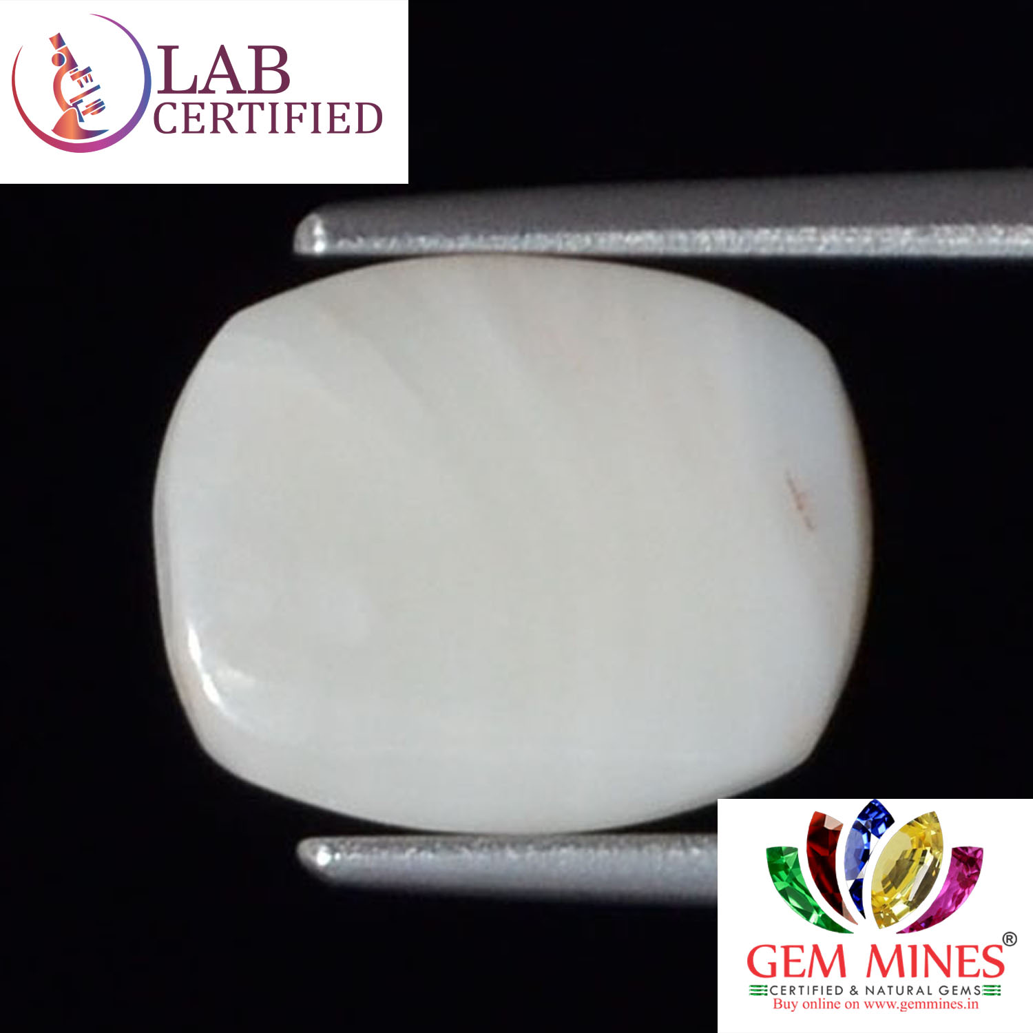 WC262 2 White Coral 4.05 Ct.