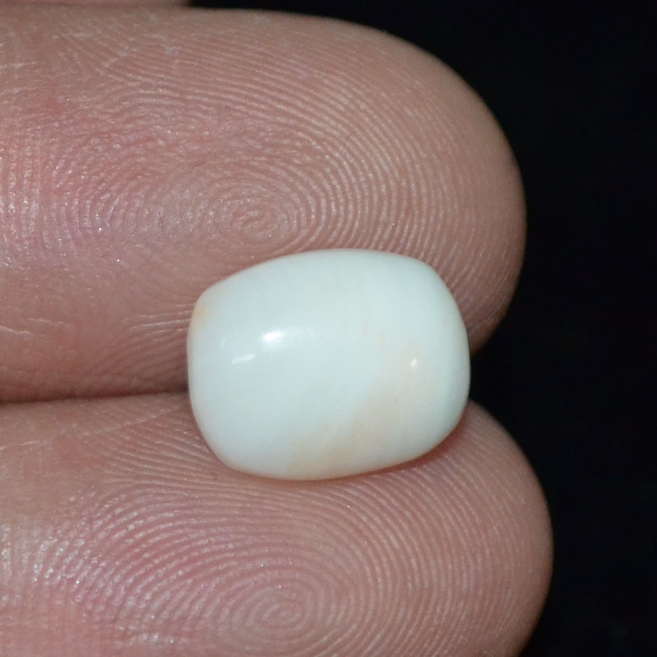 WC262 3 White Coral 4.05 Ct.