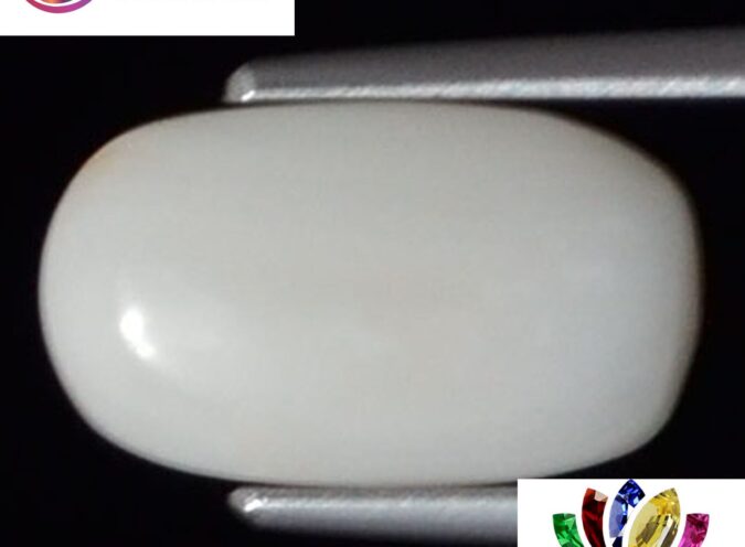 WC264 1 e1680691517349 White Coral 2.38 Ct.