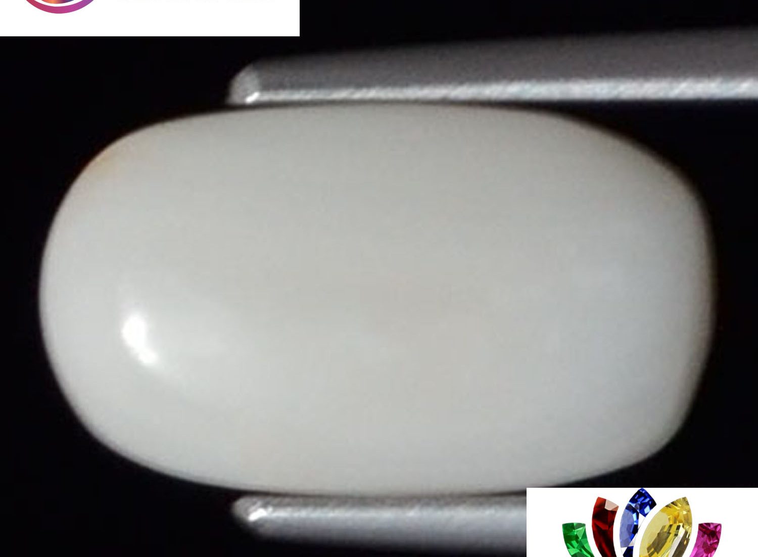 White Coral 2.38 Ct.