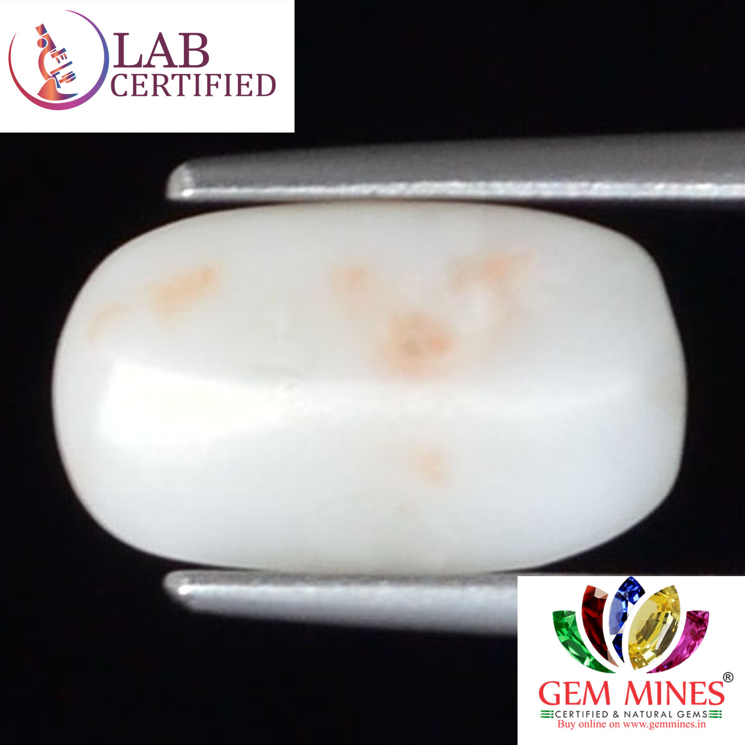 WC264 2 White Coral 2.38 Ct.