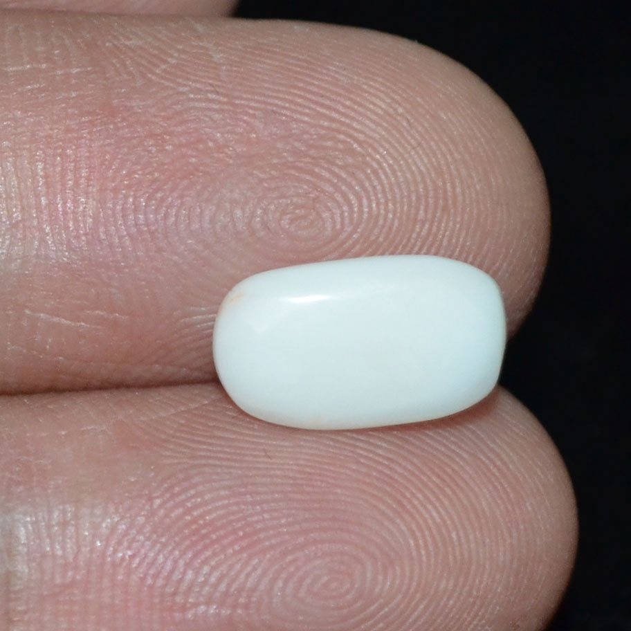 WC264 3 White Coral 2.38 Ct.