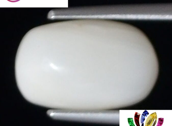 White Coral 2.86 Ct. 1 WC266 1 e1680691799269 White Coral 2.86 Ct.