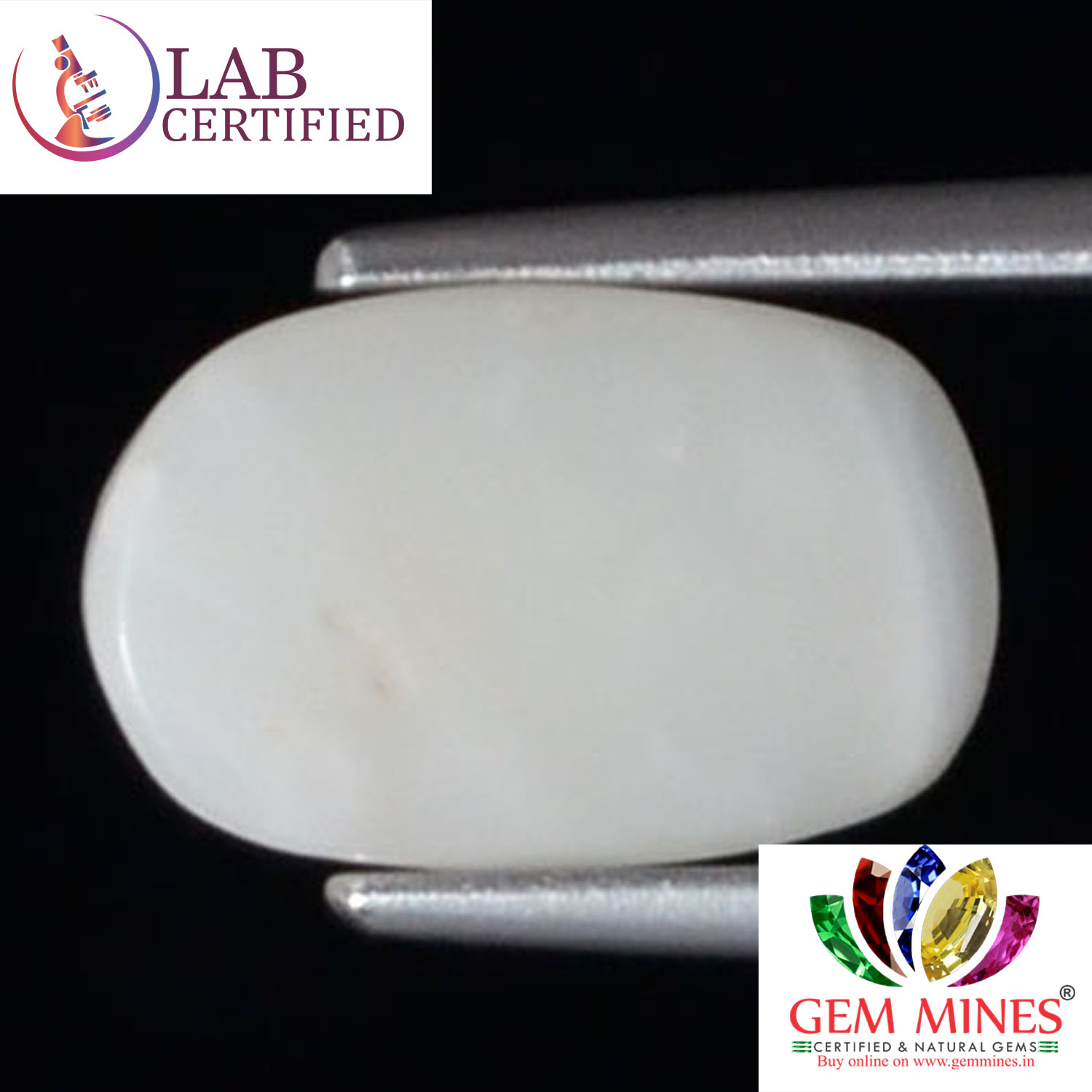 White Coral 2.86 Ct. 3 WC266 2 White Coral 2.86 Ct.