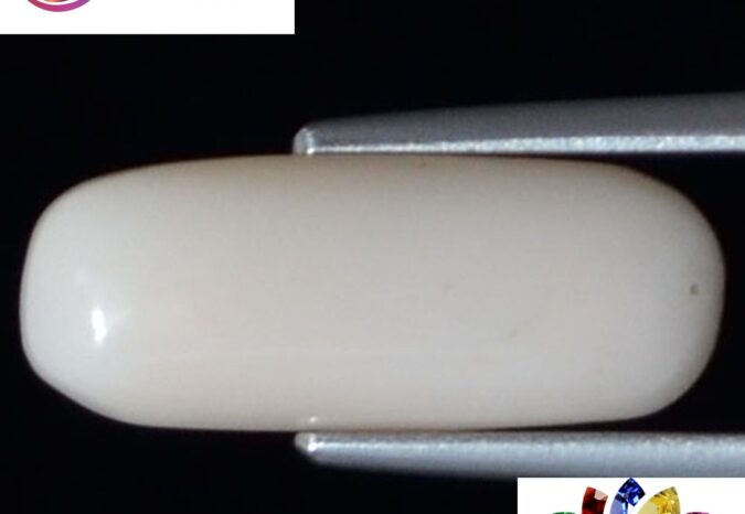 White Coral 4.26 Ct. 1 WC267 1 e1680691525184 White Coral 4.26 Ct.