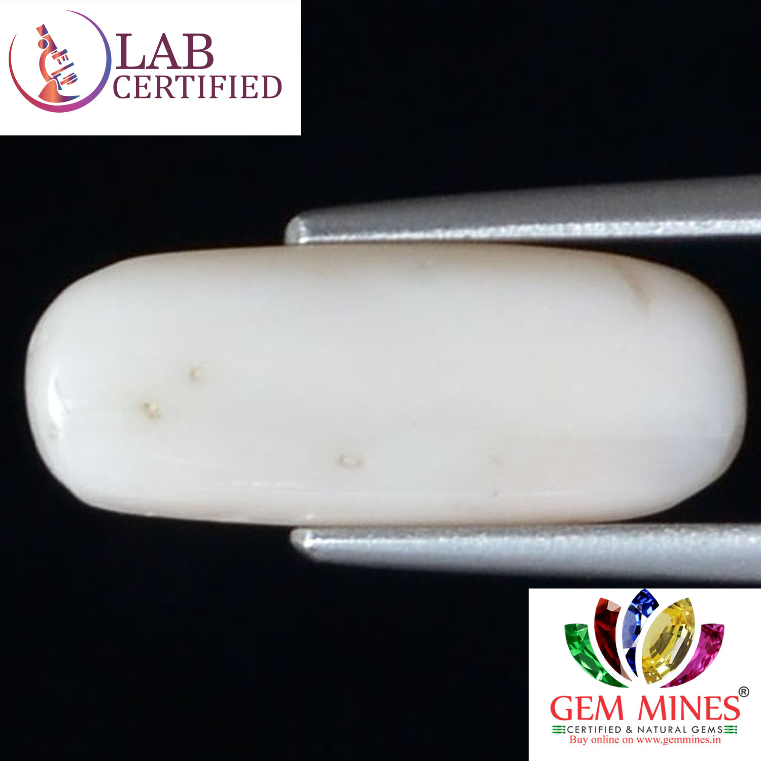 White Coral 4.26 Ct. 3 WC267 2 White Coral 4.26 Ct.