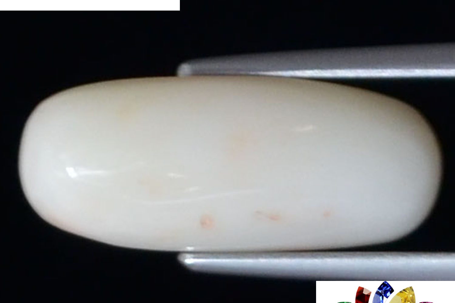 White Coral 5.23 Ct.