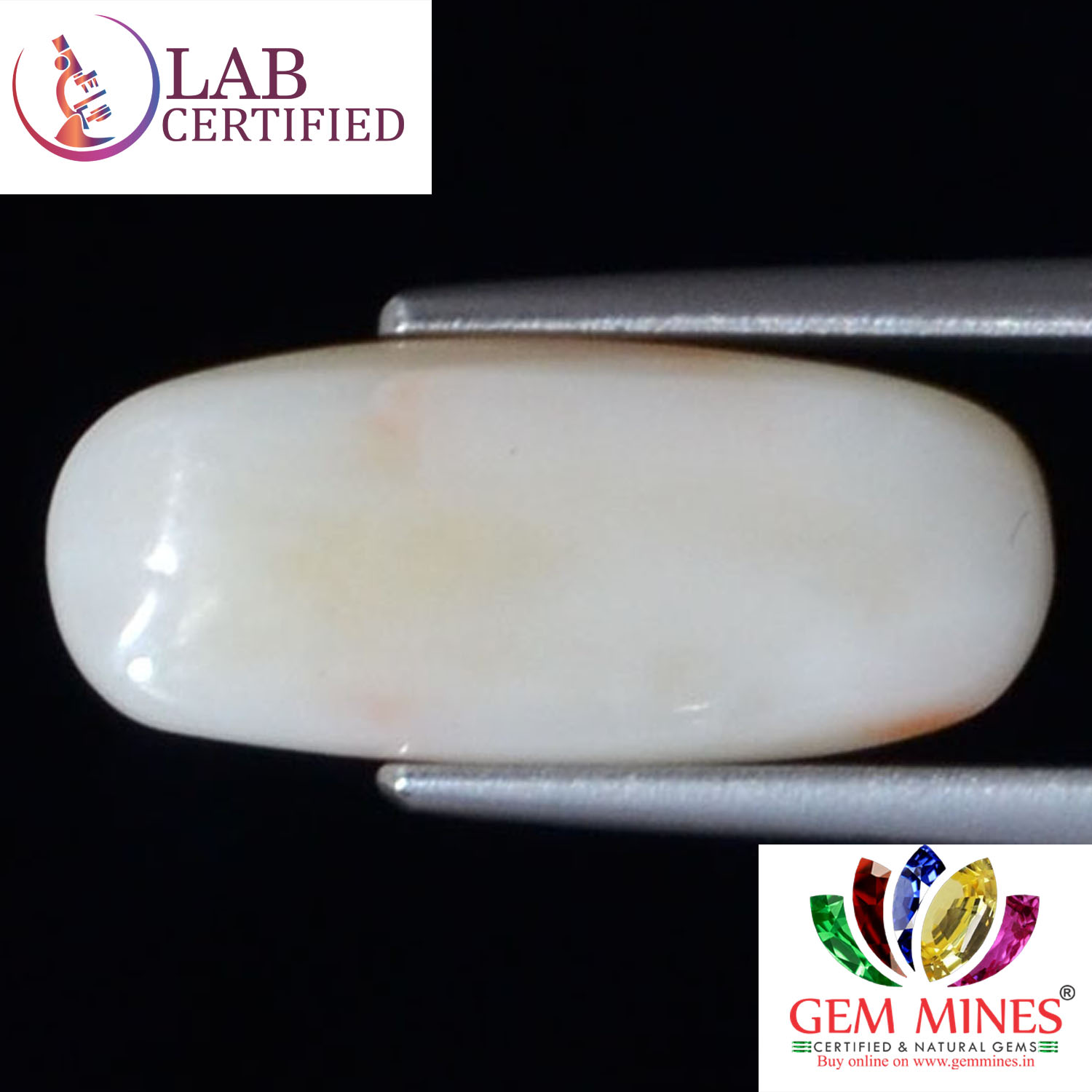 WC268 2 White Coral 5.23 Ct.