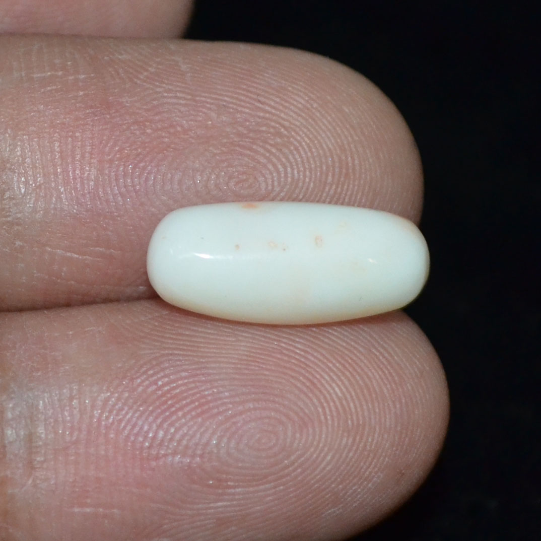 WC268 3 White Coral 5.23 Ct.