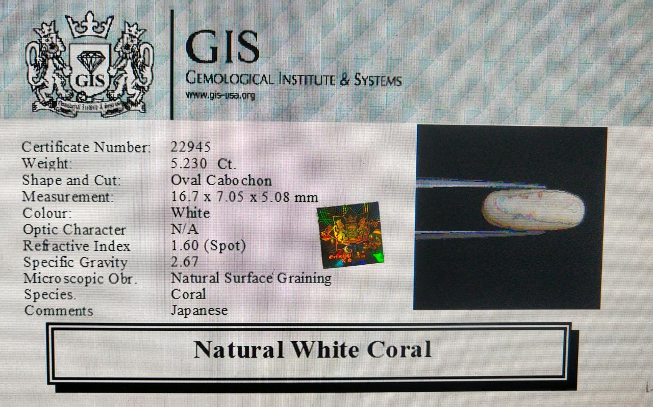 WC268 4 White Coral 5.23 Ct.