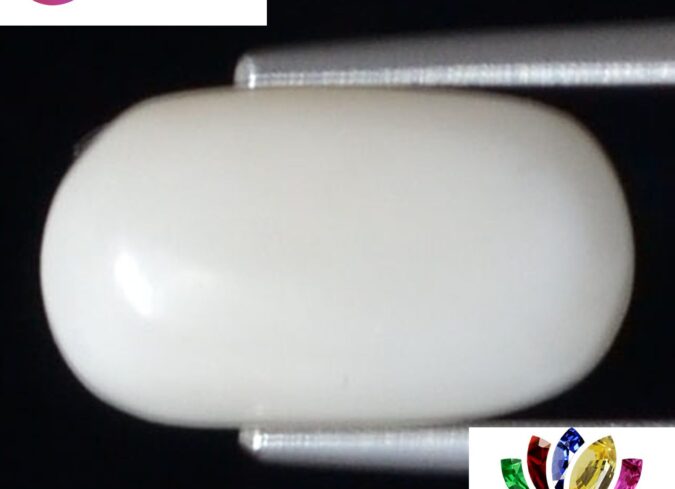 WC269 1 e1680691521997 White Coral 4.01 Ct.