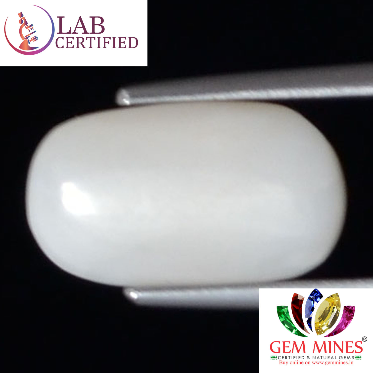 WC269 2 White Coral 4.01 Ct.