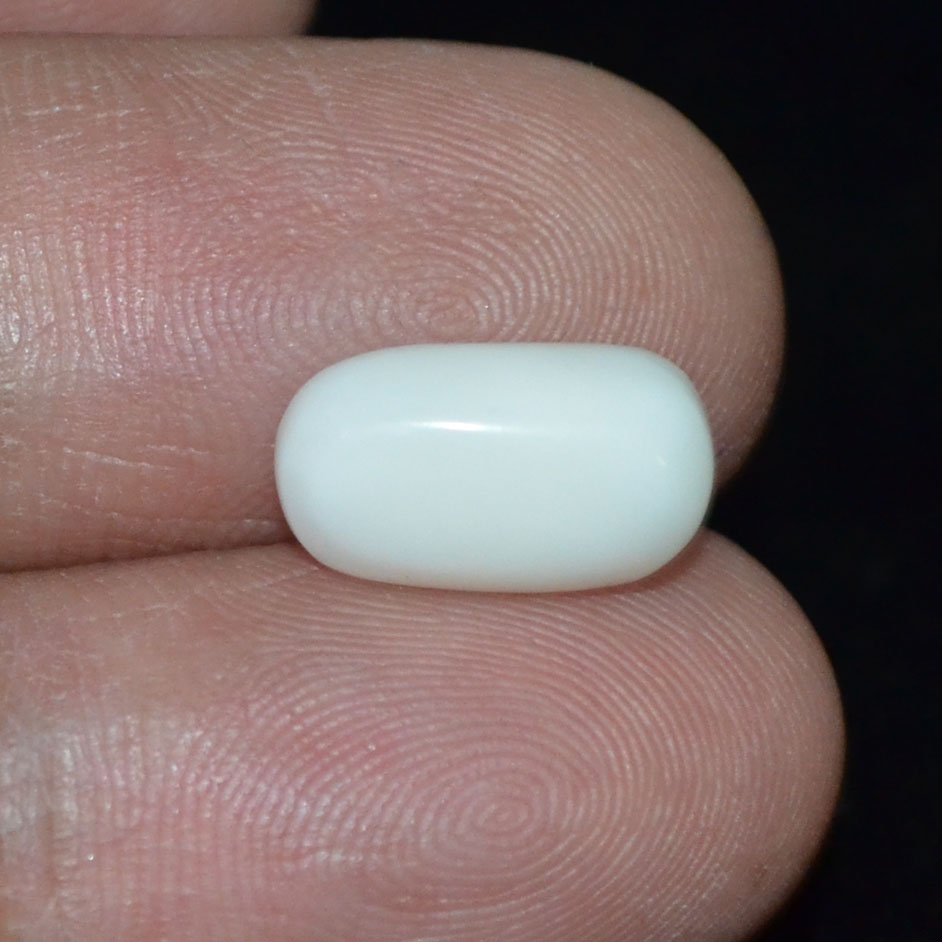 WC269 3 White Coral 4.01 Ct.